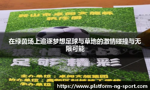 NG体育官网